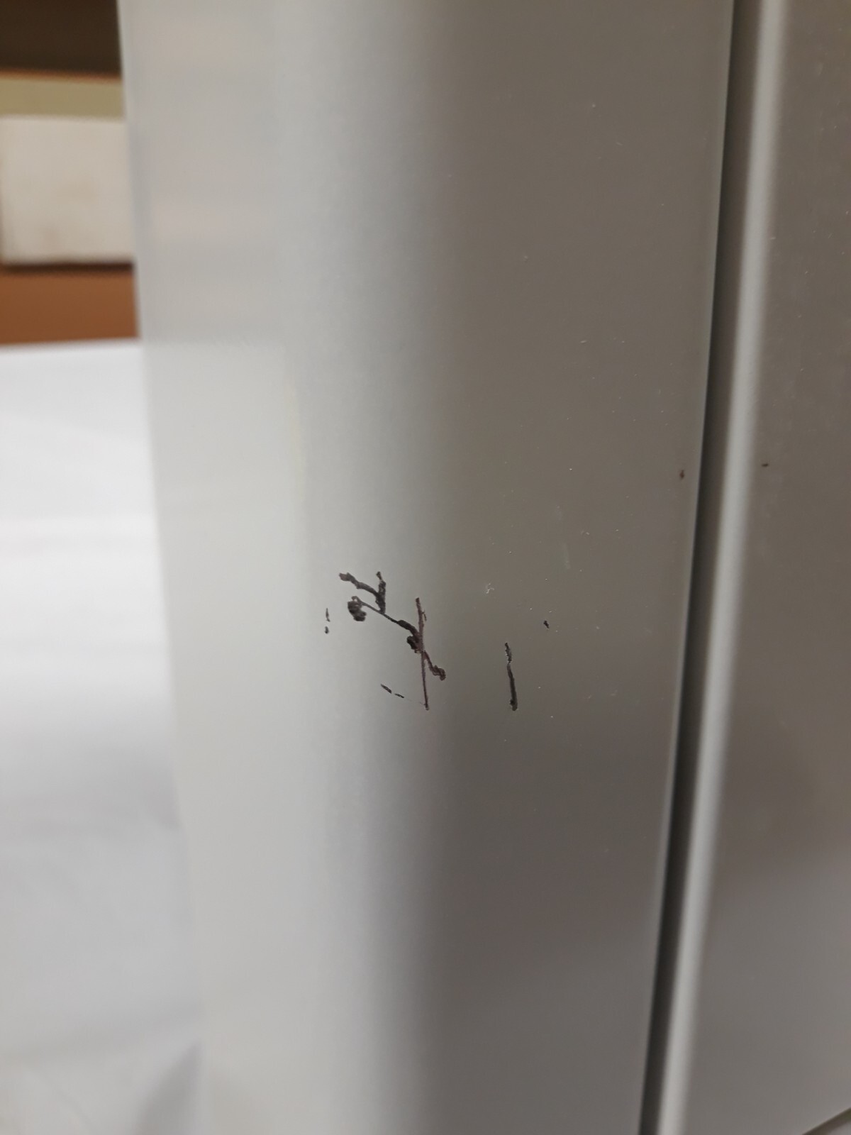 LARSEN SEMI-RESCESSED FIRE EXTINGUISHER CABINET ARCHITECTURAL STYLE