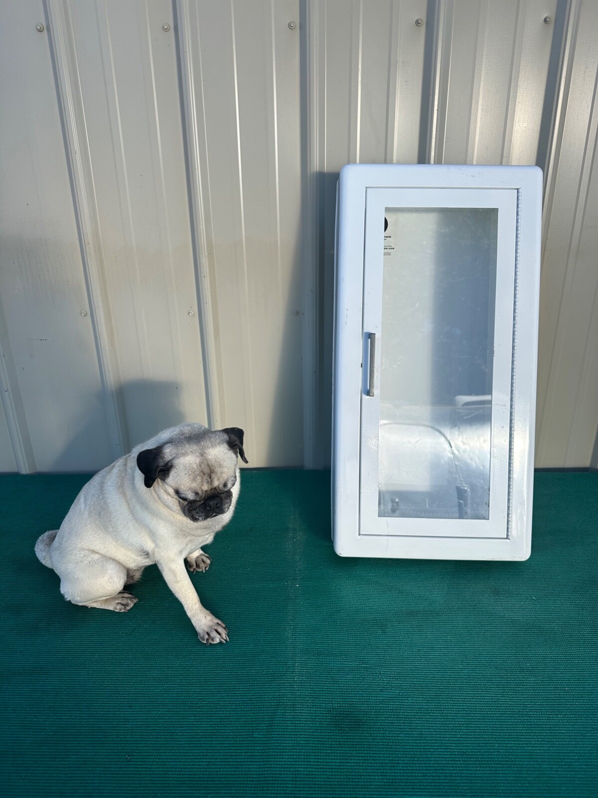 JL Industries Fire Extinguisher Cabinet Steel Construction Vertical Window 27″