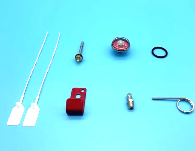REBUILD KIT for 2.5 Gallon Water Fire Extinguisher (AMEREX)