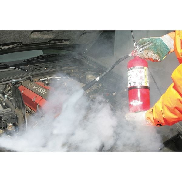 Amerex B500t Fire Extinguisher, 5 Lb Capacity, Class Abc , Ul Rating2a:10B:C