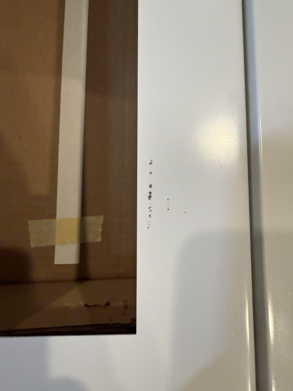 Larsen’s 2409-1F Fire Extinguisher Cabinet Semi-Recessed Glass Door White Scuffs