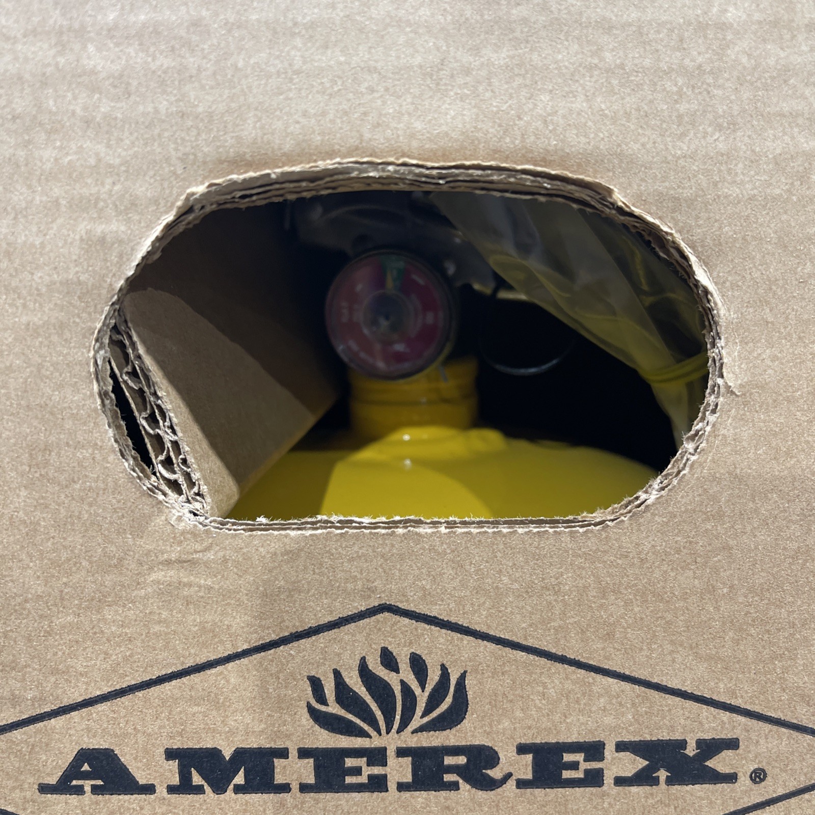 AMEREX B570 Fire Extinguisher,Steel,Yellow,D 8C249 Brand New