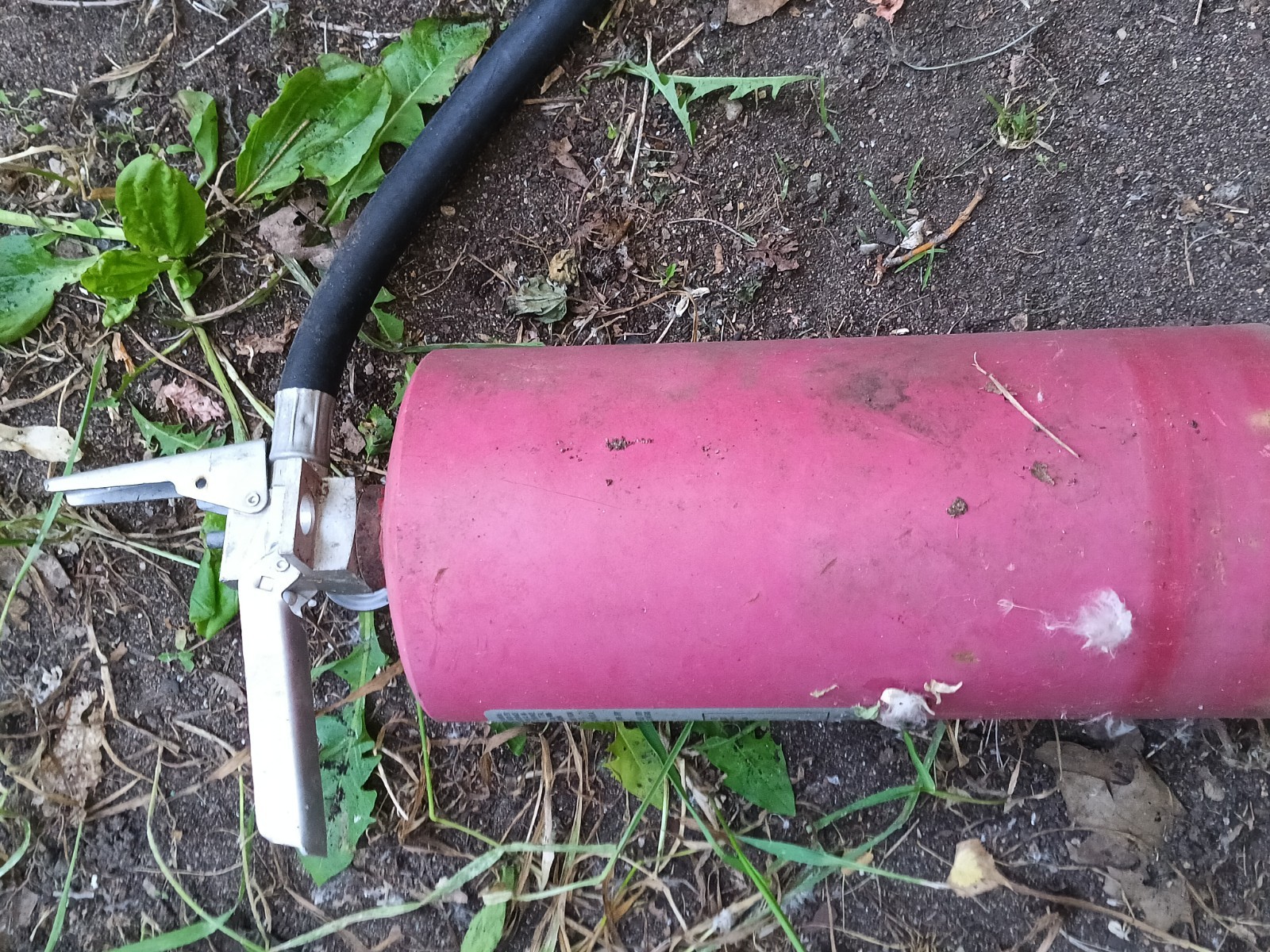 Ansul Sentry Fire Extinguisher with Hose – Fire Extinguishers