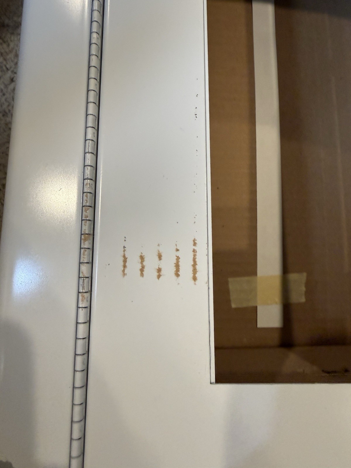 Larsen’s 2409-1F Fire Extinguisher Cabinet Semi-Recessed Glass Door White Scuffs