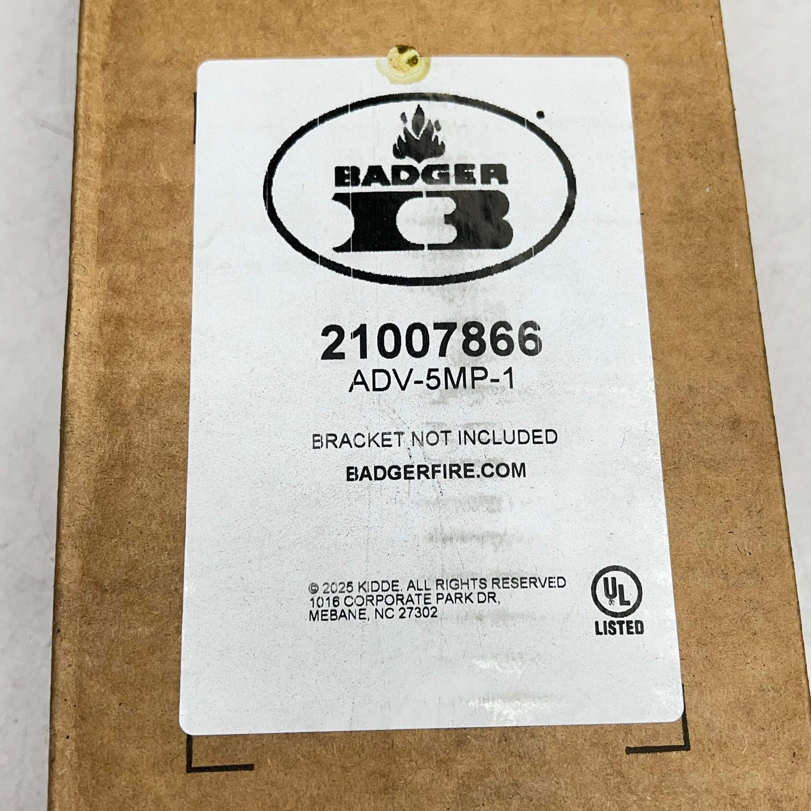 BADGER FIRE PROTECTION Dry Chemical Portable Advance Fire Extinguisher 21007866