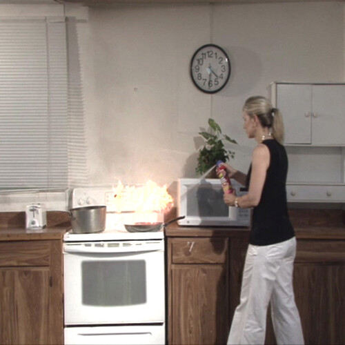 Max Pro Fire Gone Fire Suppressant, 16oz – Stop Fire Fast! (FG-007-102)