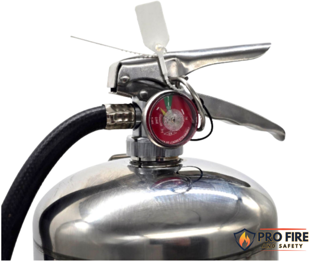 Badger Pressurized Water Fire Extinguisher Collar O-RINGS (5 Pack)